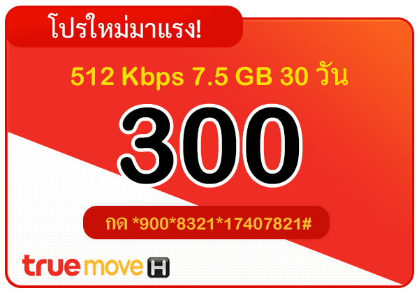 สมัครเน็ตทรู 300 บาท รายเดือน 30 วัน 512 Kbps